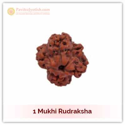 1 (Ek) Mukhi Rudraksha