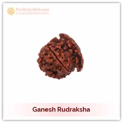 Ganesh Rudraksha