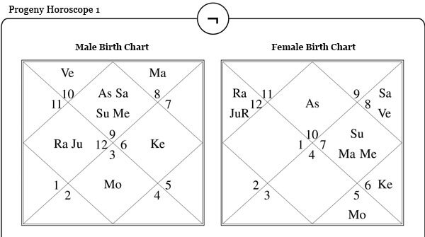 Progeny Horoscope One