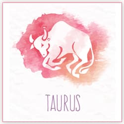 2021 Venus Transit In Taurus