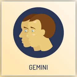 Venus Transit 2021 Gemini