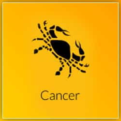 Impact Venus Transit Aquarius On 20 June 2021 For Cancer