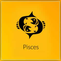 Impact Venus Transit Aquarius On 20 June 2021 For Pisces