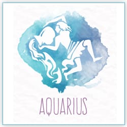 Impact Venus Transit Leo On 17 July 2021 For Aquarius