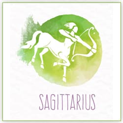 Impact Venus Transit Leo On 17 July 2021 For Sagittarius