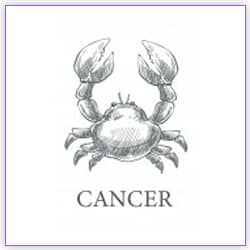 Mars Transit Scorpio On 05 December 2021 Effects On Cancer