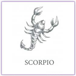 Mars Transit Scorpio On 05 December 2021 Effects On Scorpio