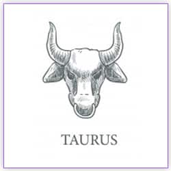 Mars Transit Scorpio On 05 December 2021 Effects On Taurus