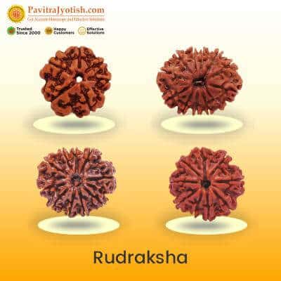 Rudraksha