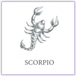 Sun Transit In Libra On 18 October 2023 Effects Scorpio