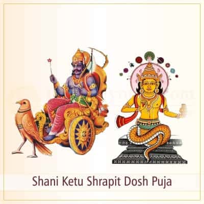 Shani Ketu Shrapit Dosh Puja