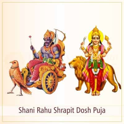 Shani Rahu Shrapit Dosh Shanti Puja